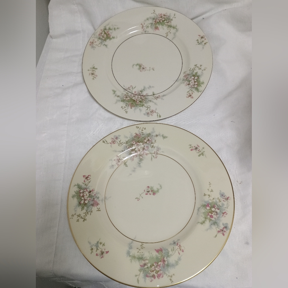 Pair Of Theodore Haviland New York dinner plates. Apple Blossom pattern - Picture 2 of 9